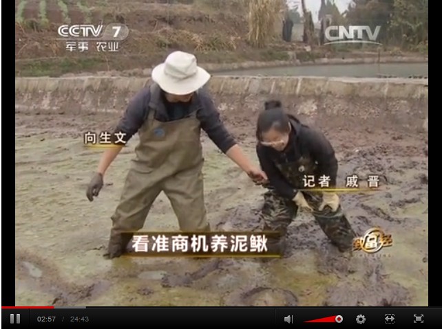 沈陽向生文瞅準商機養(yǎng)泥鰍致富傳奇視頻